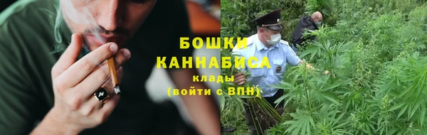 сатива Нягань