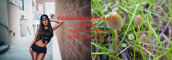 сатива Остров