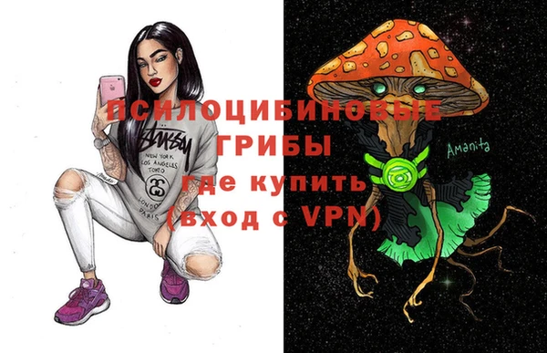 сатива Нягань