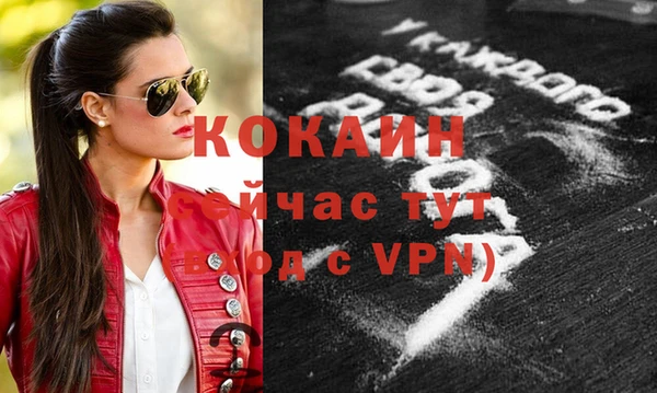 прущие грибы Осташков