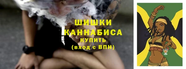 прущие грибы Осташков