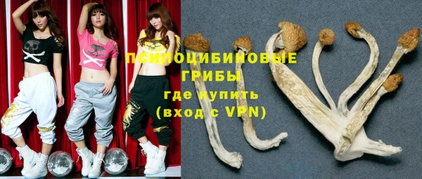сатива Нягань