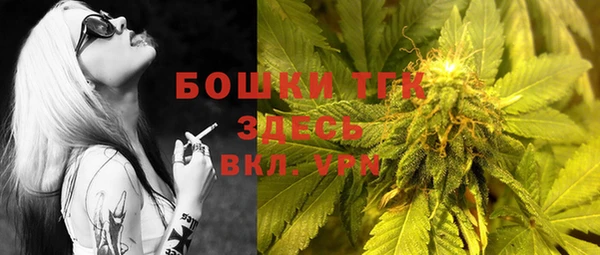 сатива Нягань