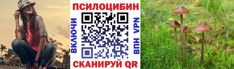 Купить где  Зеленокумск  Галлюциногенные грибы MAGIC MUSHROOMS 
